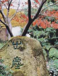 南岸秘密花園——重慶南山植物園
