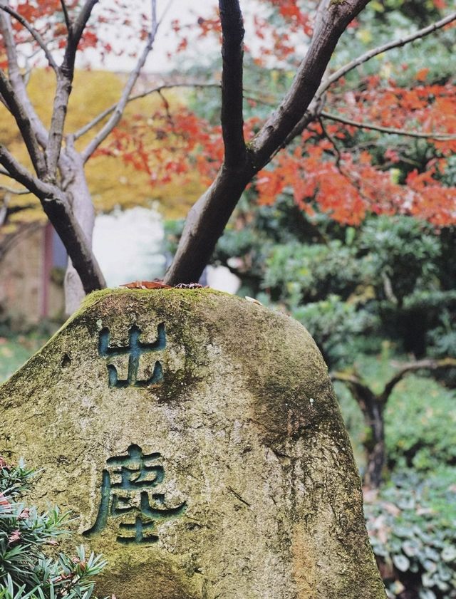南岸秘密花園——重慶南山植物園