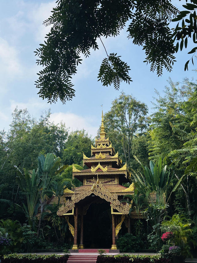 曼聽公園｜西雙版納的皇家園林之旅