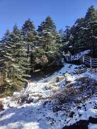 雲南昆明轎子雪山｜治癒你的巍峨壯麗雪世界