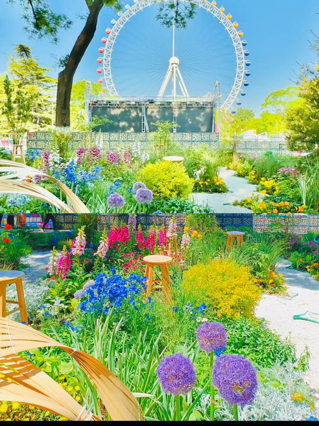 北京的莫奈花園真的美得令人落淚