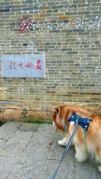 黃姚古鎮的門票價格是多少？