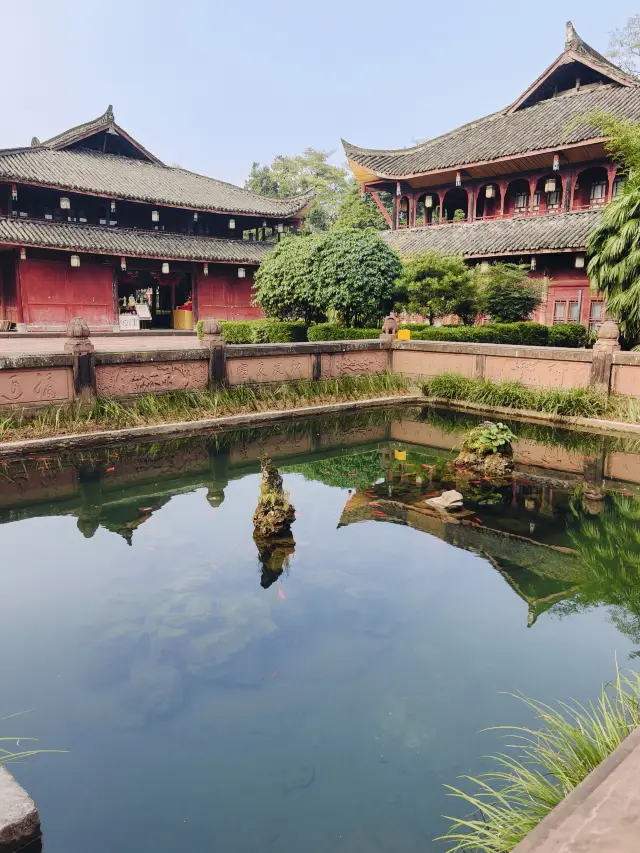 6-Day Leshan-Chengdu Itinerary: Friends Ask Me for Tips, I Show Them This