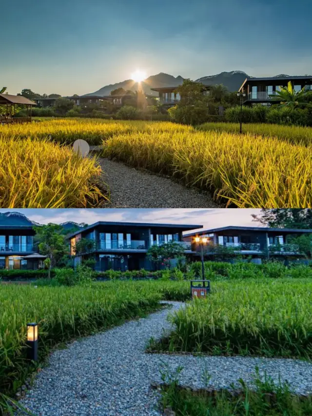Wake up to the sight of rice paddies outside your window. It's a beautiful feeling. 