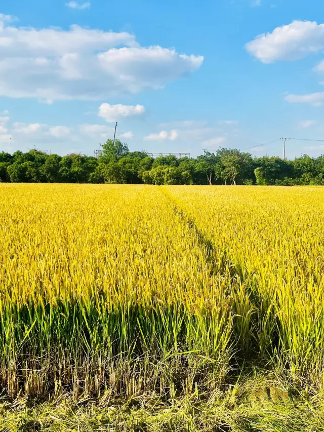 ทริป 2 วันที่เกาะจูซาน เที่ยวเกาะแบบไม่หลงทาง