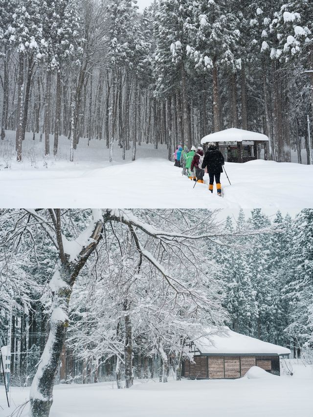徒步林海雪原我又發現了一個日本秘境