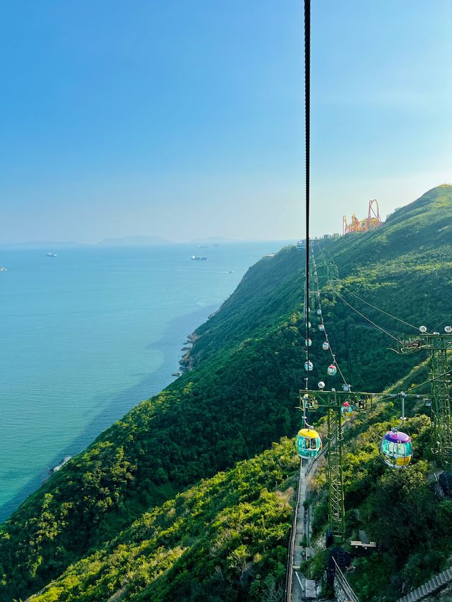 Experience the Romance of Hong Kong's Ocean Park