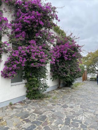 Uruguay - Colonia del Sacramento