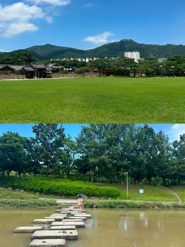 釜山周邊遊|金海櫻花自行車(附攻略)