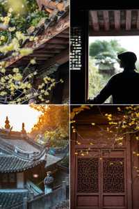臘梅花開，永遠驚嘆於老祖宗骨子裡的審美！