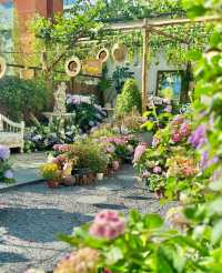 豆伴花園