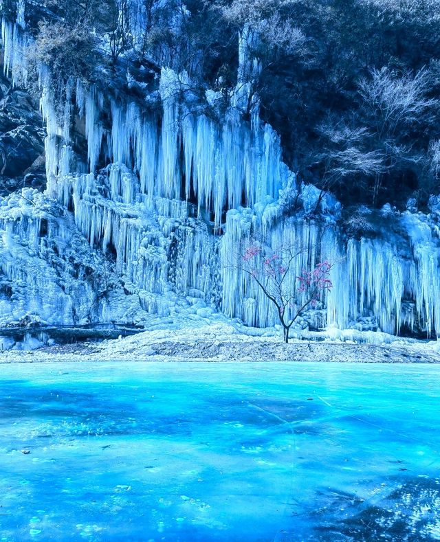 別告訴我你還沒去過少華山看藍湖