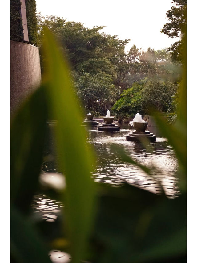 🌿尋覓一處「心之所歸」 