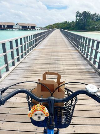 Maldives | Lazy Day Diary: Food and Fun Recommendations | The Residence by Cenizaro