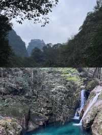 武義牛頭山國家森林公園遊玩全攻略