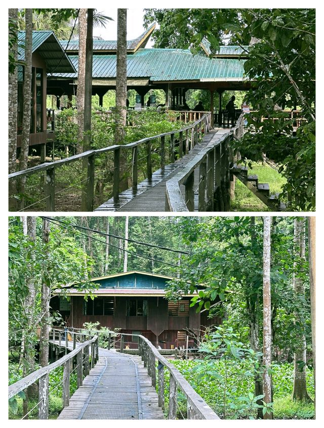 探秘山打根，邂逅雨林深處的奇妙之旅。