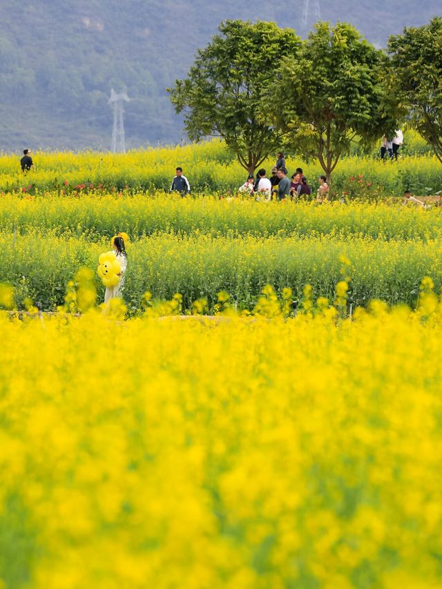 光明小鎮，歡樂田園