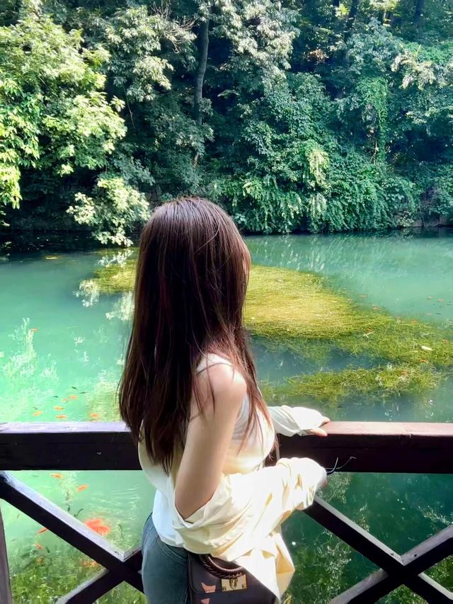 茅山風景區避坑指南