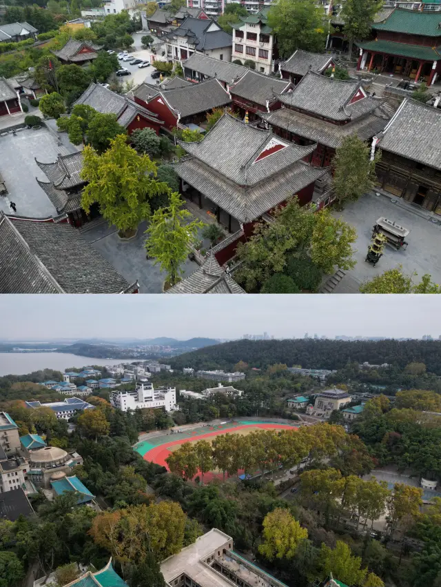 After watching the Wuhan Spring Festival Gala, I went straight to the Hubei Provincial Museum.