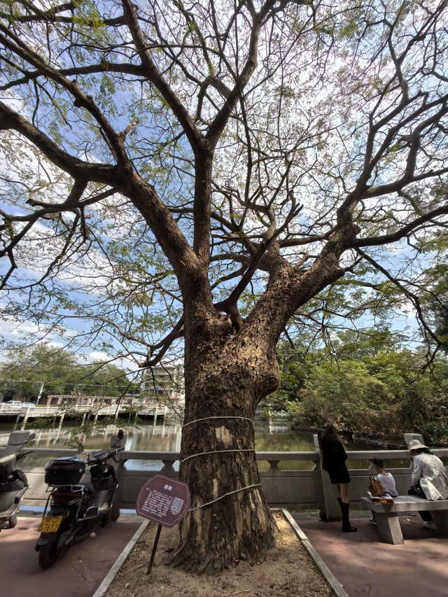 昌江礦山公園