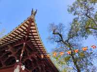 光孝寺