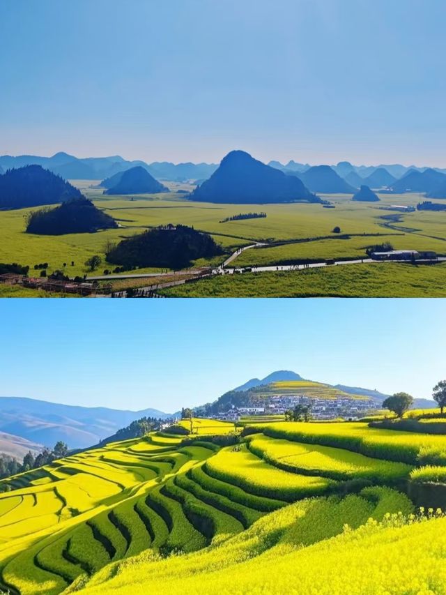羅平已回，說點難聽大實話。