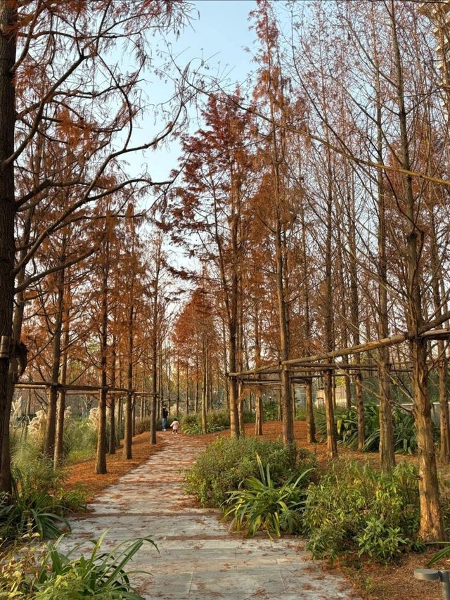 成都地鐵直達的絕美城市公園——紅石公園