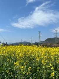 6天玩轉雲南建水-元陽 超詳細攻略來啦