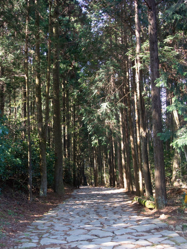 三島市小眾旅行攻略