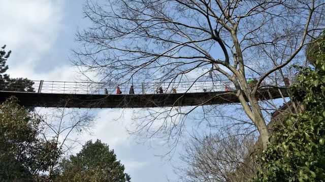 湖北宜昌 屈原故里