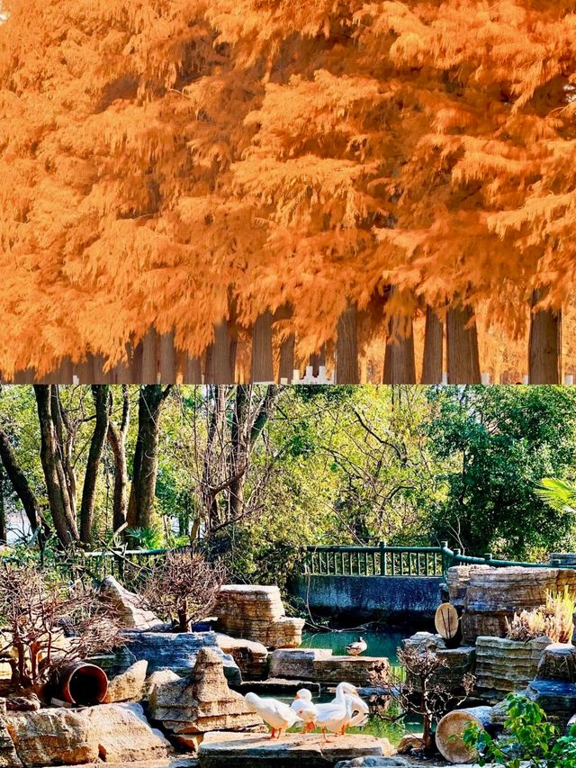 東湖生態旅遊風景區旅遊攻略