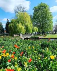 英國拉夫堡皇后公園：一片寧靜與綠意的樂土