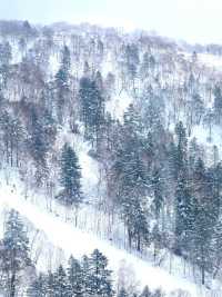 北海道旅行，一定要到訪 TOMAMU 的霧冰平台