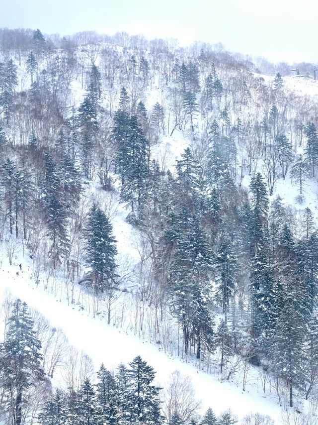 北海道旅行，一定要到訪 TOMAMU 的霧冰平台