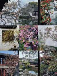 蘇州8座小眾園林的春和景明附賞花遊路線