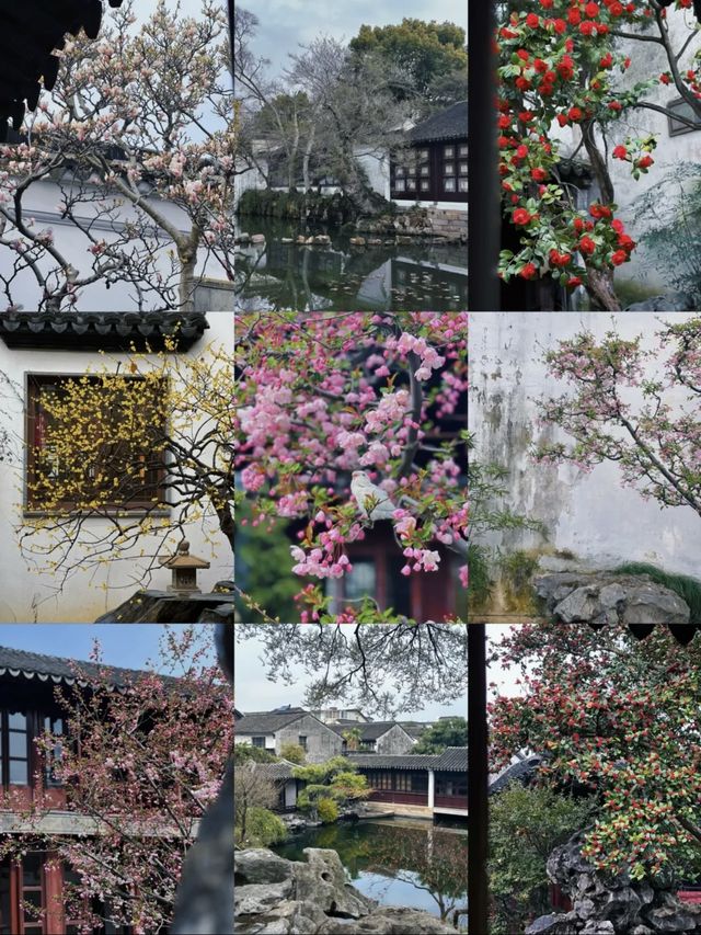 蘇州8座小眾園林的春和景明附賞花遊路線