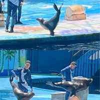 深圳｜野生動物園｜週末好去處