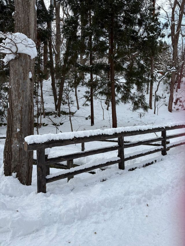 寒假日本滑雪之旅 超詳細攻略來襲