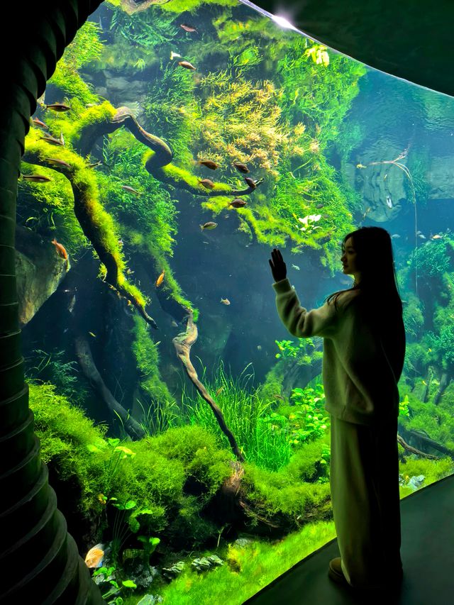 上海植物園，玻璃穹頂下的植物百科。