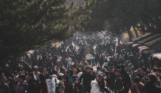 普陀山極限挑戰 拜完 33 座廟我悟了