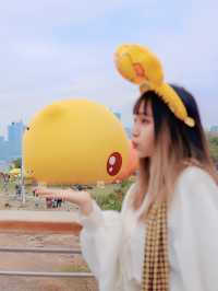 新年旅行第一站，深圳觀景廊橋拍照之旅
