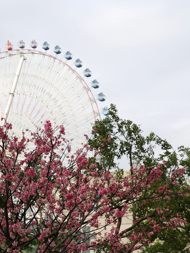 台北