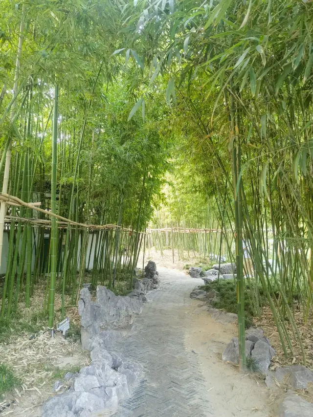 Línxún Painting the Four Seasons, Exquisite Bamboo Theme Garden - A Fun Tour of Yangzhou's Geyuan