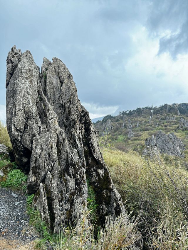 神農架睇熊貓宜昌－三峽大壩遊玩全攻略快碼住