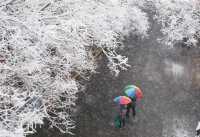 春雪銀裝素裹，宛如畫卷。
