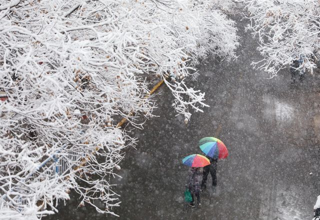 春雪銀裝素裹，宛如畫卷。