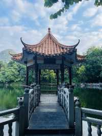 魚峰山公園！（728）