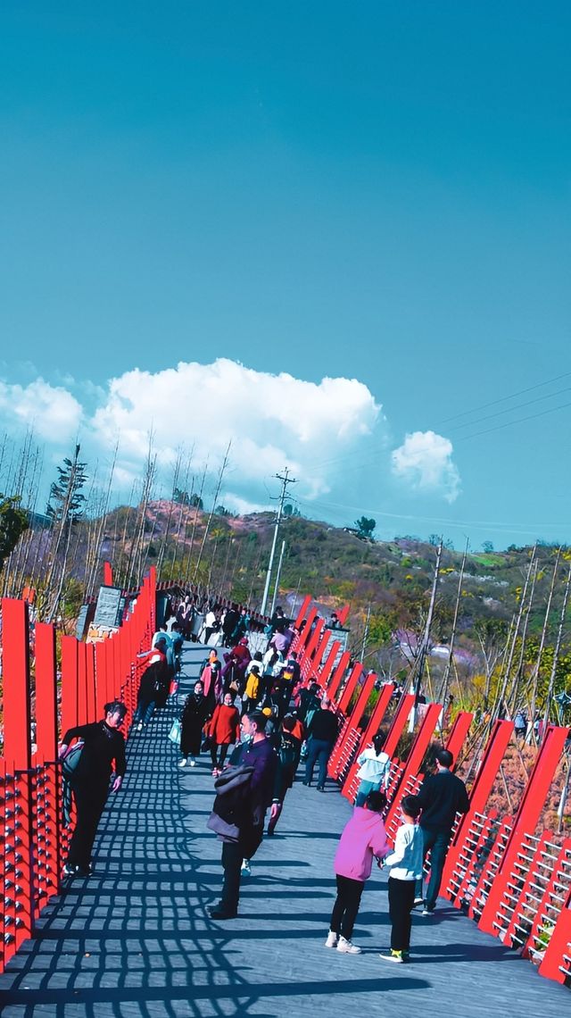 想去達州玩的時候，我完全摸不着頭腦