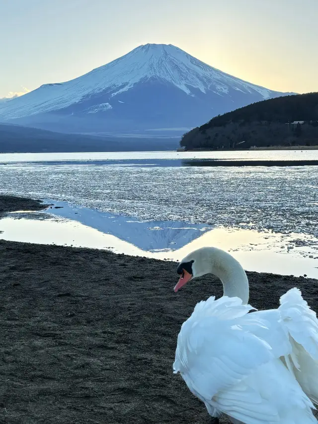 3일 황금연휴, 일본 완전 정복 가이드