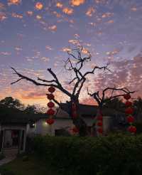 版畫村遇上色彩斑斕的油菜花海，太美太夢幻
